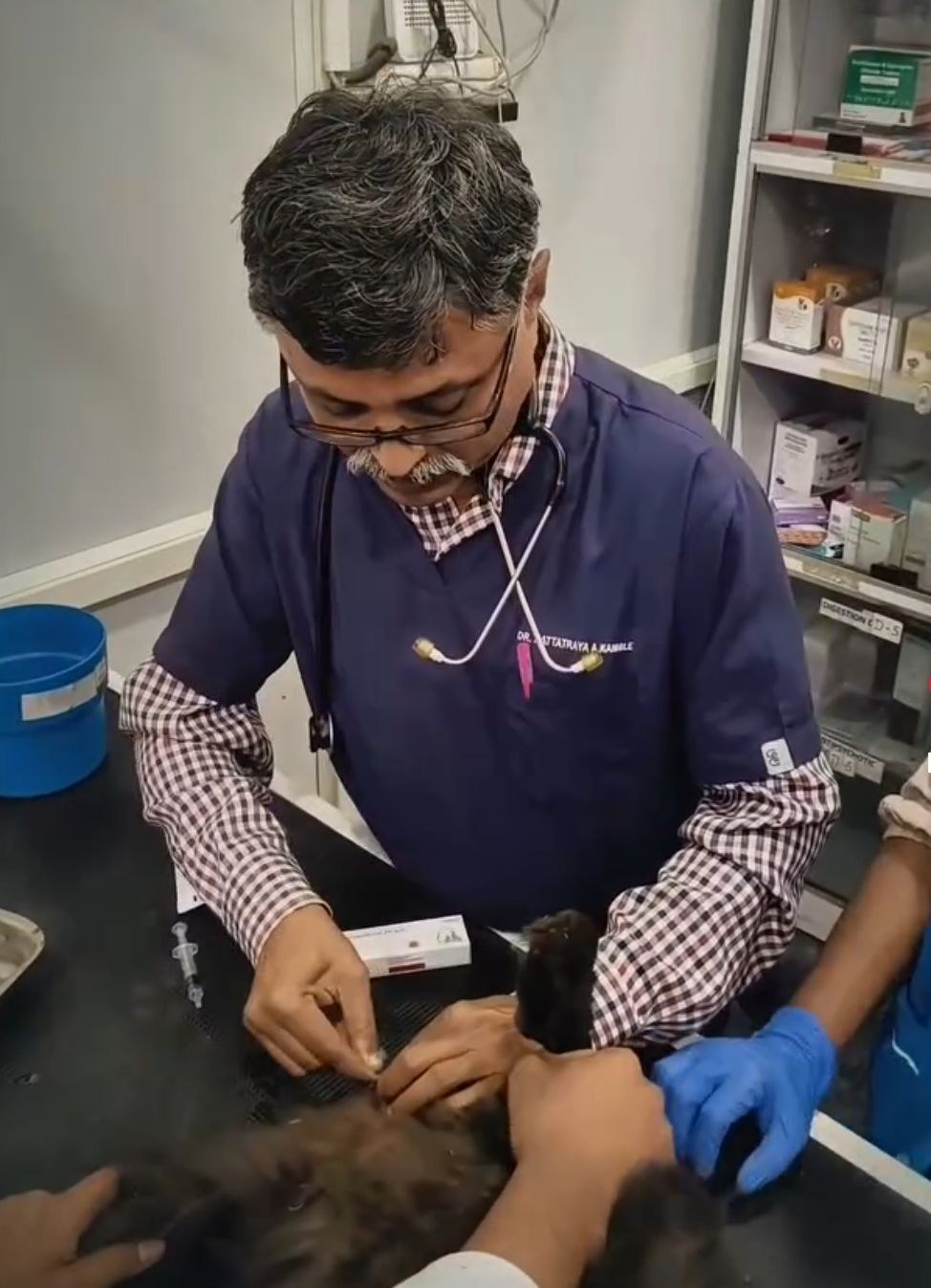 Vaccination & Immunisation