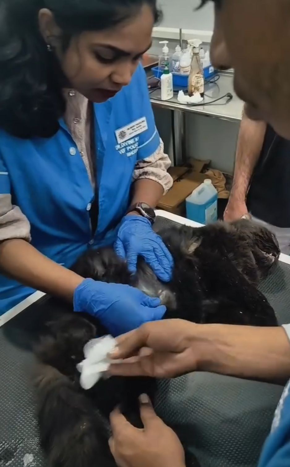 Preventive Care & Parasite Control
