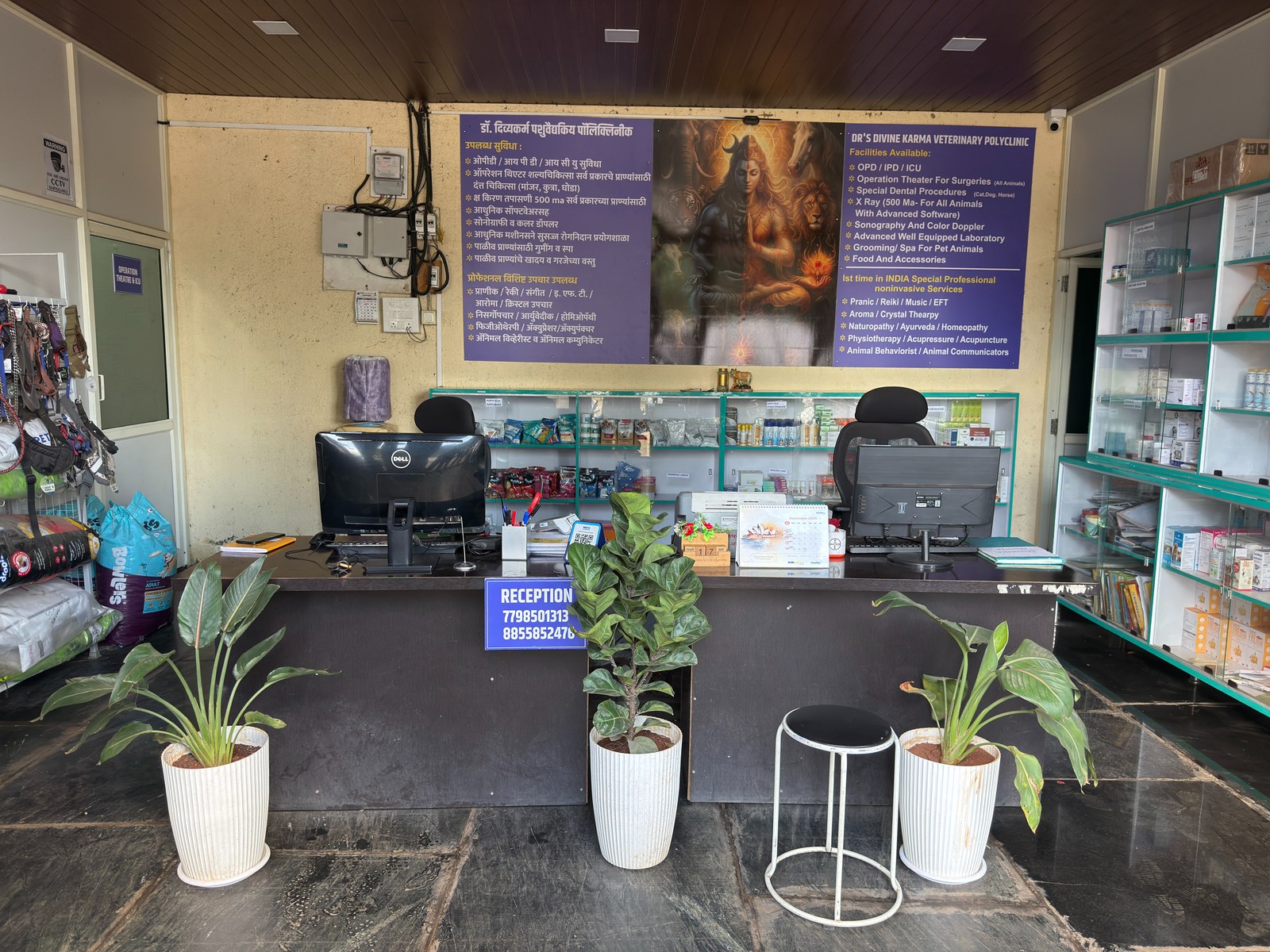 In-Clinic Veterinary Pharmacy